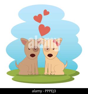 cute dogs couple on grass vector illustration design Stock Vector