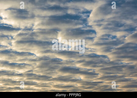 Beautiful dense sunlitted golden clouds naturally arranged in geometrical pattern with blue sky visible through gaps. Background with copy space. Stock Photo