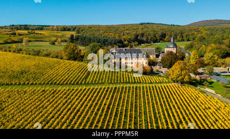 Fall colours, Castle Vollrads, Rheingau, Hessen, Germany Stock Photo