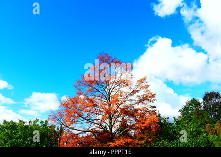 clouds in the sky Stock Photo