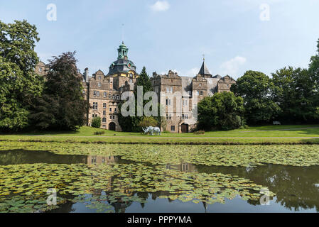 castle grounds, moated castle, Bueckeburg, Lower Saxony, Germany, Bückeburg Stock Photo