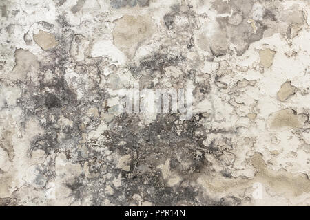 Mold and moisture buildup on a wall. Peeling paint, indicating damp. Ideal for concepts and backgrounds. Stock Photo
