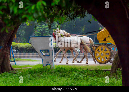 Portrait of a traditional decorated dress horse cart also known as Tanga or Rickshaw or chariot in ( Kolkata, West Bengal, India, Asia) used for carry Stock Photo