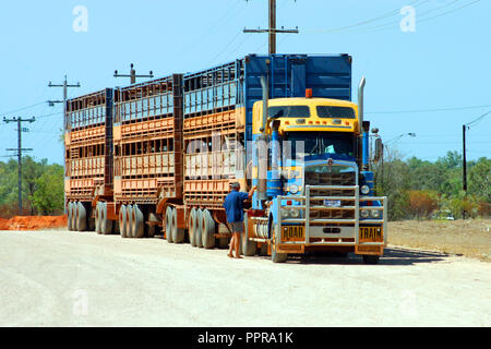 Empty livestock road train stopped on the side of the road, outback Western Australia Stock Photo