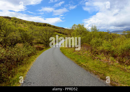 Winding single track road in spring, Isle of Skye, Scotland, United Kingdom Stock Photo