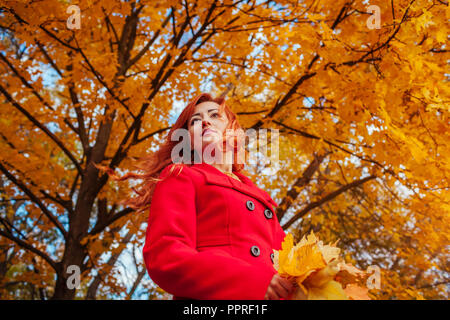 Young woman in red coat walks in autumn forest among yellow trees Stock Photo