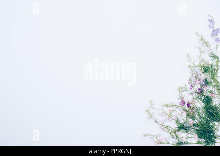 Frame composition with empty place in the center made of blooming pink flowers, flat lay. Floral decorative corner on white background with copy space Stock Photo