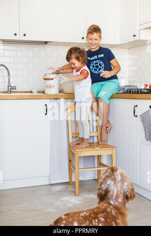 Brother and sister preparing dough for pancakes at the kitchen and playing with dog. Casual lifestyle photo series in real life interior Stock Photo