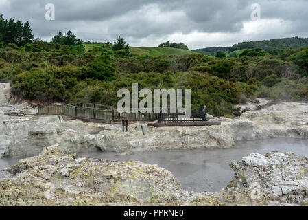 Photo of a hot geothermal pool bordered by trees with green hills in the background. Stock Photo