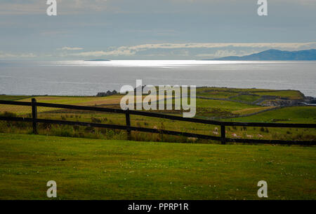 Photo looks out over a sheep farm and the Irish Sea as the day starts to end. Some sheep are marked with red blotches to designate ownsership. Stock Photo