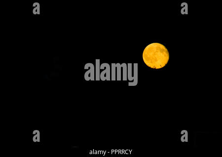 Golden full moon against a black sky background. St Paul Minnesota MN USA Stock Photo