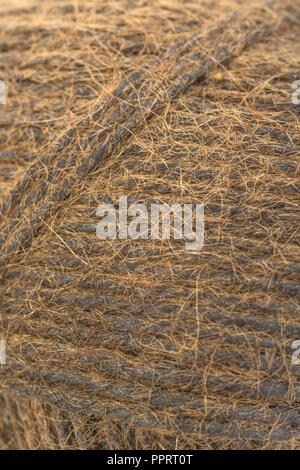 Natural tarred sisal fibre garden twine / string. Great macro of individual fibres making up the twine. Metaphor 'How long is a piece of string?' Stock Photo