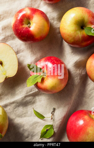 Raw Organic Red Apples Ready to Eat Stock Photo