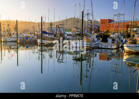 Garabaldi, Oregon: Port of Garabaldi on the Oregon coast, boats in morning sun Stock Photo