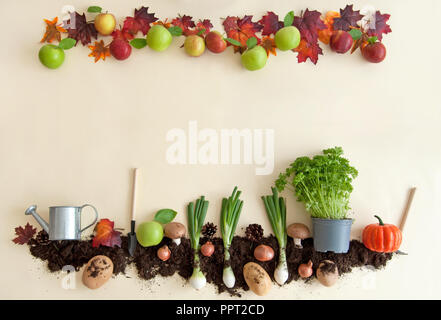 Autumn fruits growing in soil patch with apple orchard frame Stock Photo