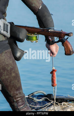 Crop view of scuba diver adult man on a seashore with freshly caught  octopus and spearfishing gear (fins, speargun Stock Photo - Alamy