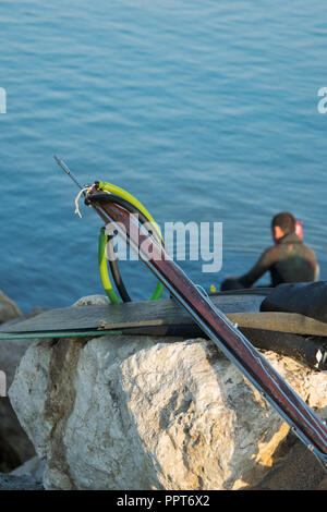 Crop view of scuba diver adult man on a seashore with spearfishing gear  (fins, speargun), space for text Stock Photo - Alamy