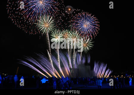 Colorful Chrysanthemums, Palms and Comets over Krylatskoye Stock Photo