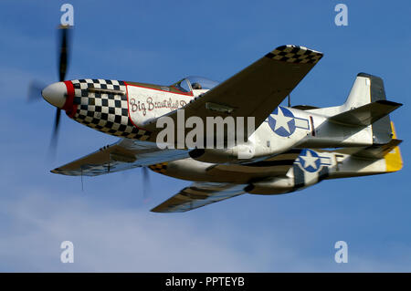 Pair of North American P-51 Mustang Second World War fighter planes flying in blue sky. World War Two US Army Air Force plane duo. Mustangs. P-51s Stock Photo