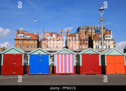 Colourful beach huts on the seafront in Hove, near Brighton, in East Sussex, UK Stock Photo