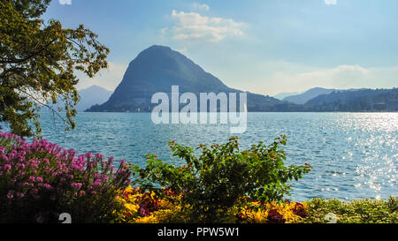 Nice, colorful flowers at the boulevard of Lake Lugano (Ticino, Switzerland) on a sunny, late september day. Stock Photo