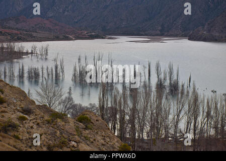 View from the hill to Potrerillos lake with trees in Mendoza province - Argentina Stock Photo