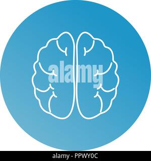 Vector line brain. Stock Vector