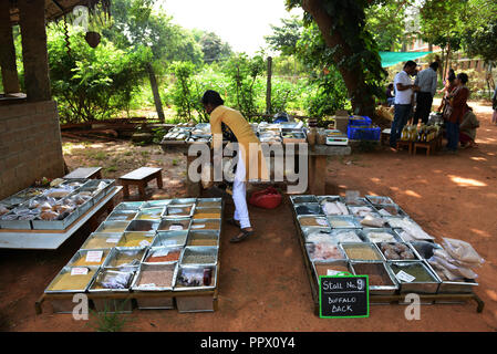 Farmers market at Bhoomi college near Bangalore, India. Stock Photo