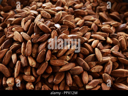 A pile of Pili nuts. Stock Photo