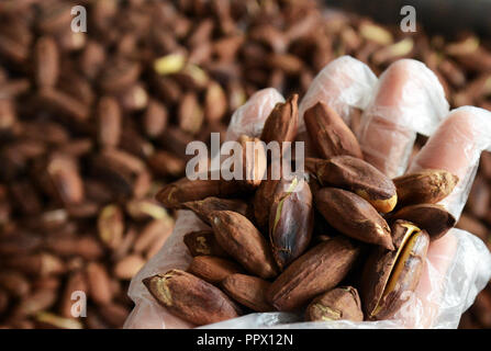 A pile of Pili nuts. Stock Photo