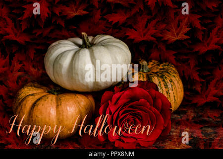 Halloween banner with pumpkins and a red rose, with a leaf overlay and quote 'Happy Halloween'. Great for social media and blog accounts. Stock Photo