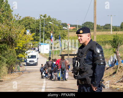 BERKASOVO, SERBIA - OCTOBER 3, 2015: Croatian policeman looking at micrants crossing the Serbia Croatia border in Berkasovo Bapska, on the Balkans Rou Stock Photo