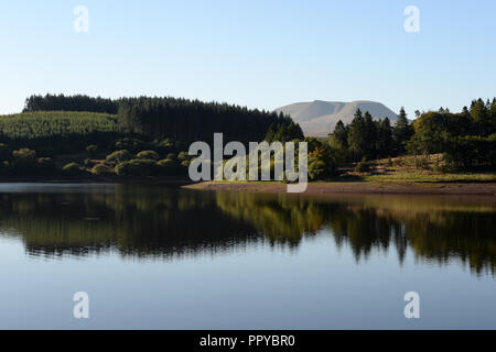 Pen y fan the Black Mountain from Usk reservoir where woodland reflects in the still waters of the lake Stock Photo