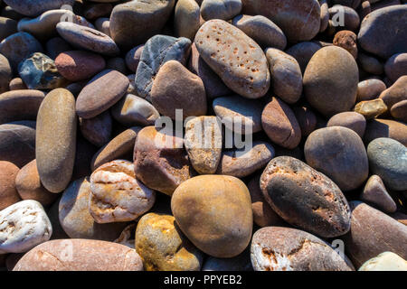 Colourful pebbles on Sidmouth beach. Stock Photo