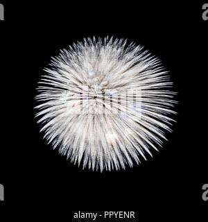 One colorful fireworks isolated on dark background. Stock Photo