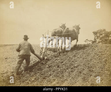 A Stiff Pull; Peter Henry Emerson, British, born Cuba, 1856 - 1936, 1885; Albumen silver print Stock Photo