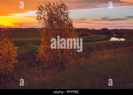 The sun rises above the river overgrown with shrub and small forest which is reflected on the river bed Stock Photo