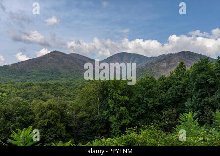 Smoky Mountains Scenic Landscape Stock Photo