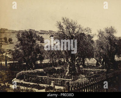 Jerusalem, View in the Garden of Gethsemane, Looking Towards the Walls of Jerusalem; Francis Bedford, English, 1815,1816 - 1894 Stock Photo