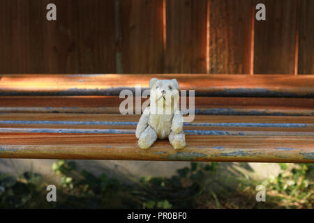 Small old teddy bear sitting on bench in a garden, Stock Photo