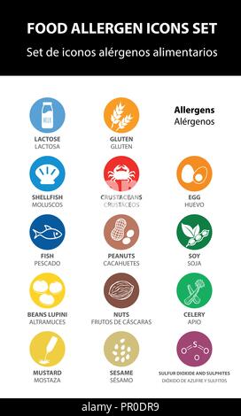 food allergen icons set, vector. Stock Vector