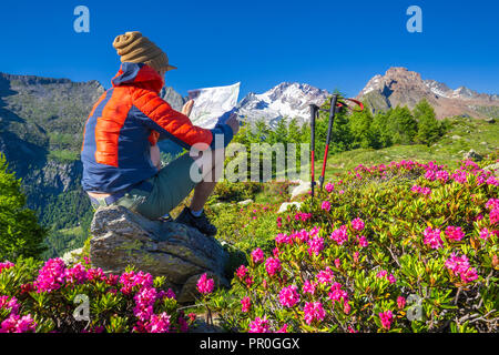 Tourist reading hiking map beside rhododendron flowers, Mount Scermendone, Valmasino, Valtellina, Lombardy, Italy, Europe Stock Photo