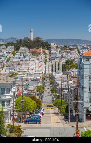 View of Coit Tower from Russian Hill, San Francisco, California, United States of America, North America Stock Photo