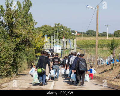 BERKASOVO, SERBIA - OCTOBER 3, 2015: Refugees walking towards the Croatian border crossing  on the Croatia Serbia border, between the cities of Bapska Stock Photo