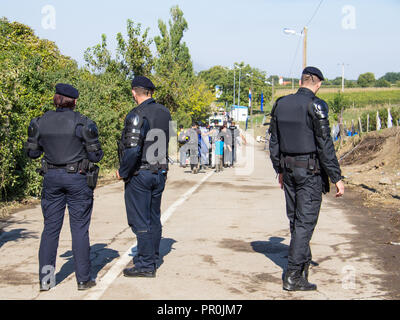 BERKASOVO, SERBIA - OCTOBER 3, 2015: Croatian policemen looking at migrants crossing the Serbia Croatia border in Berkasovo Bapska, on the Balkans Rou Stock Photo