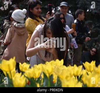 Bowral, Australia - Sept 22, 2018. Girl taking a photo in the Corbett Gardens during the Tulip Time festival, a series of spring celebration events in Stock Photo