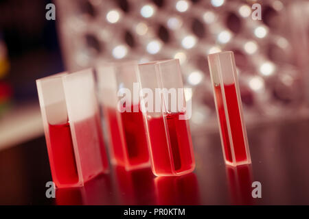 Quartz cuvettes for Chromatography and spectrophotometry in the study of liquids Stock Photo