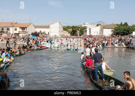 Saint Gilles,Camargue-France 2016. During the traditional August festival, the villagers and the tourists watch the bulls crossing the river. Stock Photo