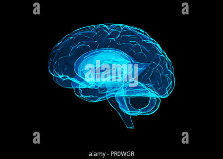 3d human brain illustration Stock Photo