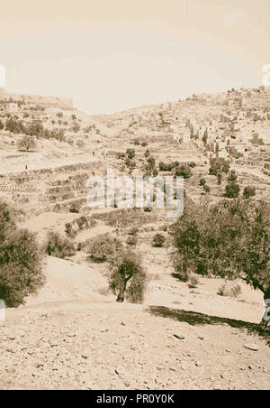 Valleys of Jehoshaphat and Hinnom Valley of Jehoshaphat, city wall in the distance. 1900, Jerusalem, Israel Stock Photo